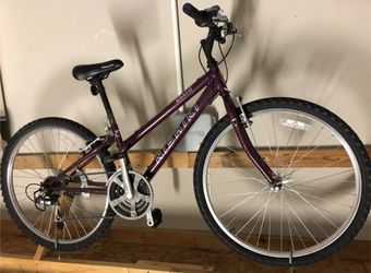 24” Nishiki Bravo bike
