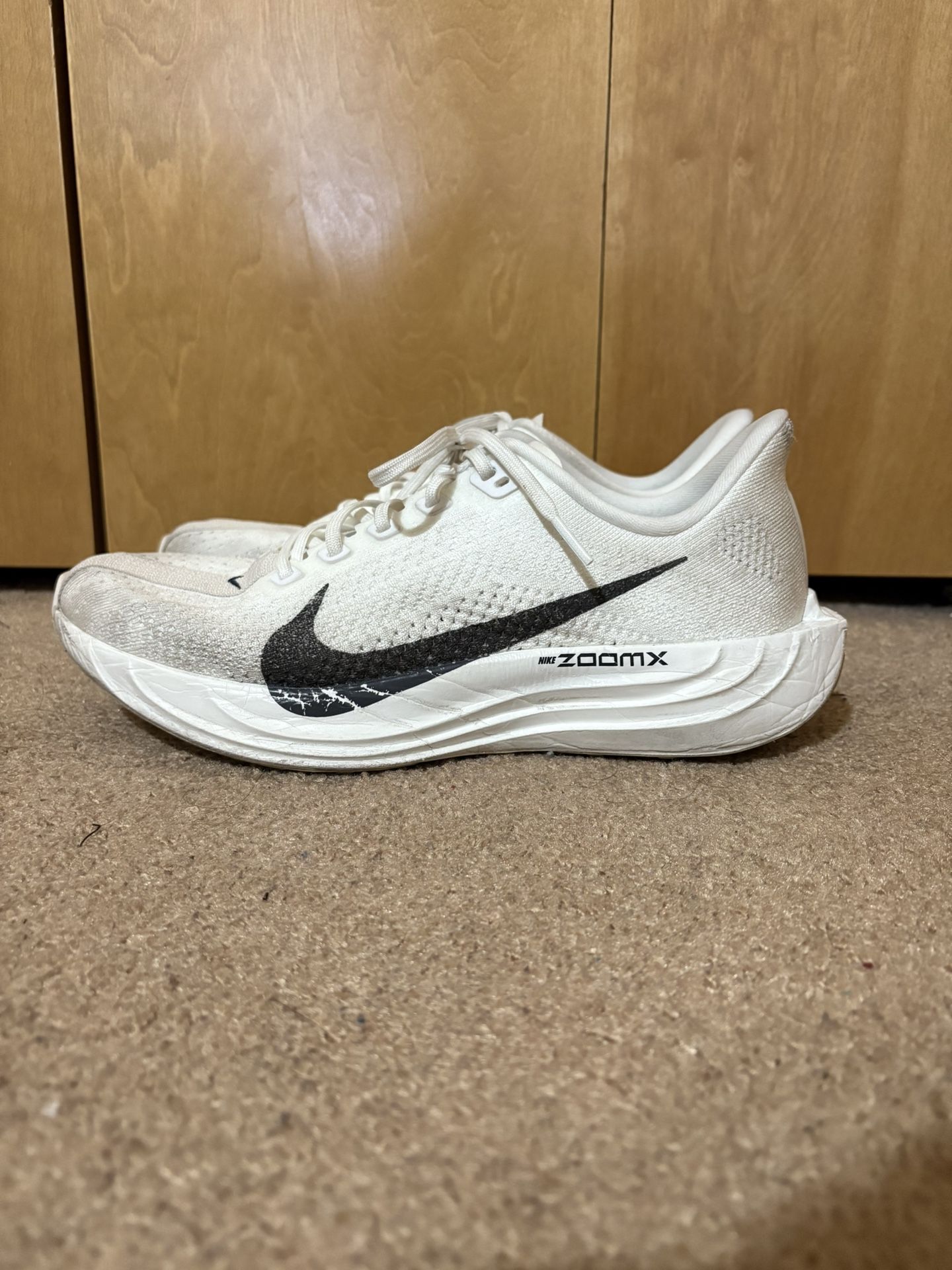 Nike Pegasus Plus Shoes