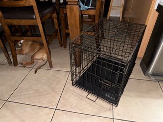 Black Wire Dog Crate with Tray