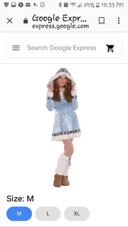 Artic princess costume