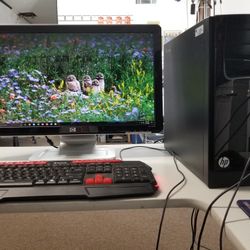 Hp Desktop Computer 