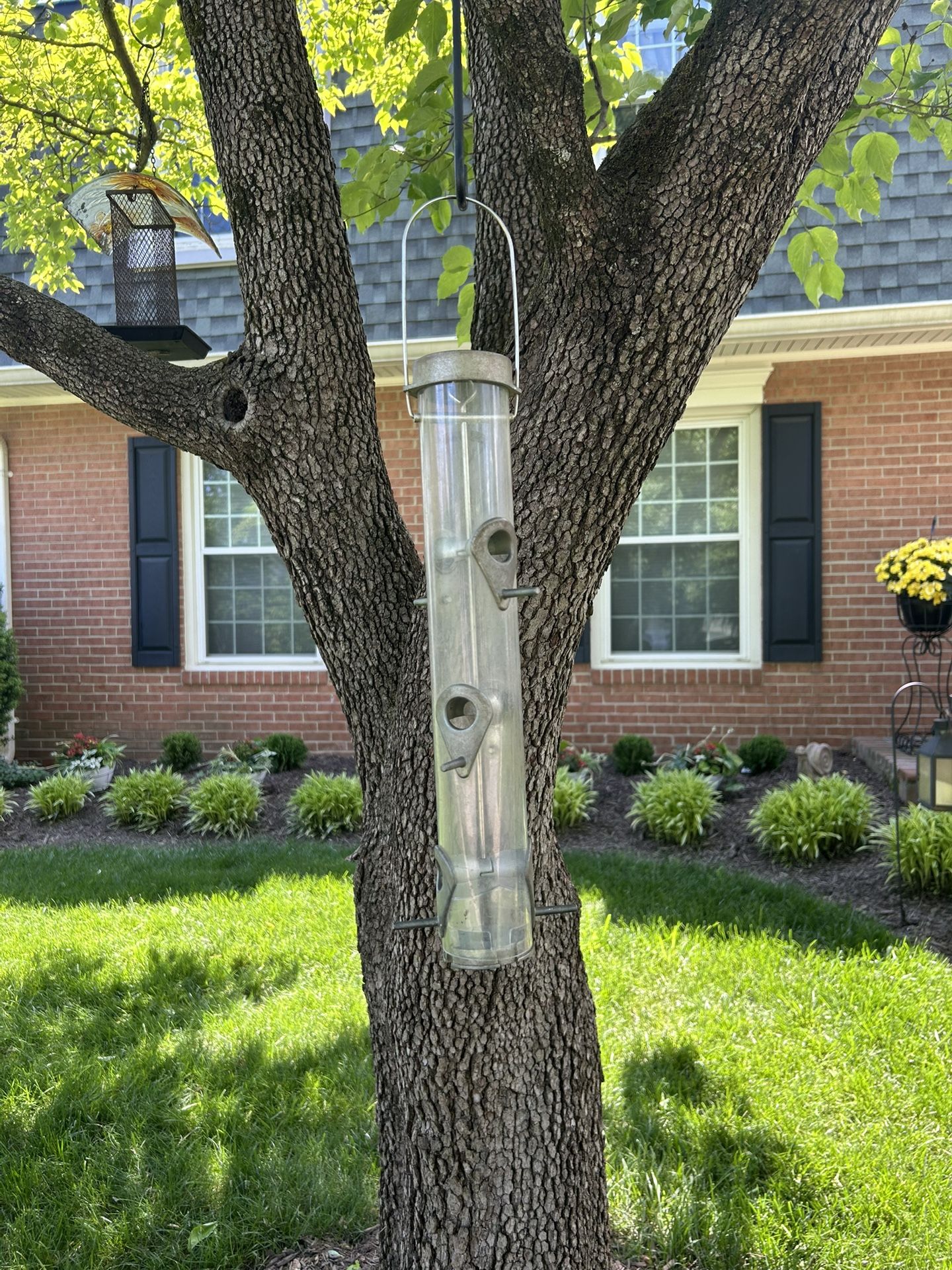 Droll Classic Yankees Bird Feeder