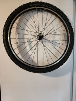 Excellent bicycle wheel. Has Schwalbe tire