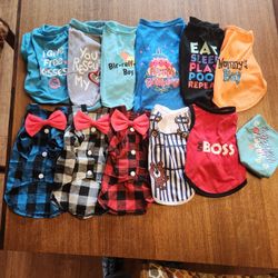 boy dog clothes-size small