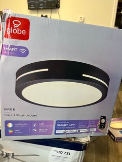 Globe Electric 15-in Matte Black Indoor Smart LED RGBW Flush Mount Light with Plastic Shade