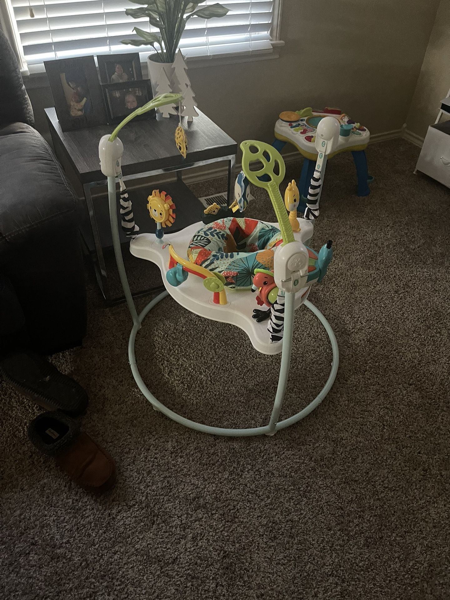 Baby Bouncer