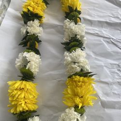 🌼 Daisy Lei