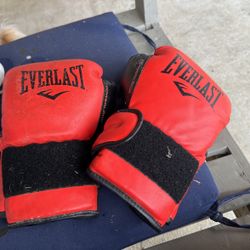 Boxing Gloves Everlast