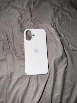 apple case fits 16 and 17