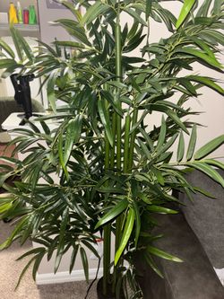 5ft tall Faux Bamboo