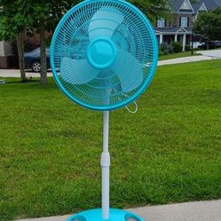 🐦Fan - Oscillating - $35