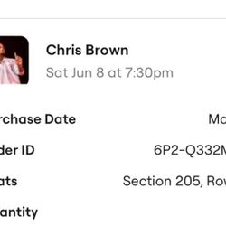 Chris Brown Concert Ticket
