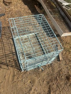 Kennel