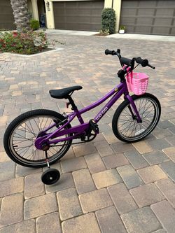 REI Co-op REV 20 Kid’s Bike – Plum Burst (Excellent, Hardly Used Condition)