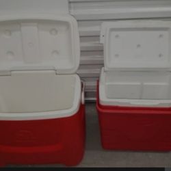 Summer Time 2 IGLOO COOLER  LG & Med