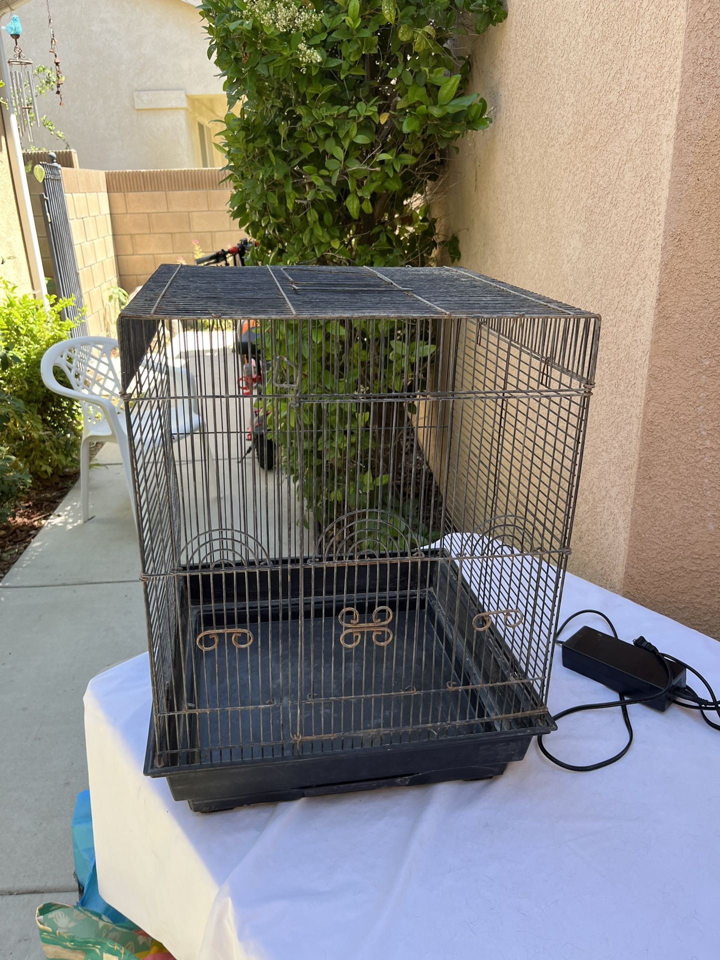Bird Cage $30
