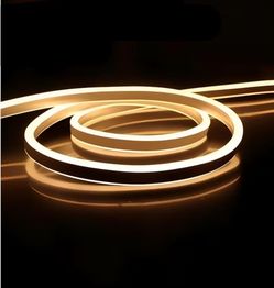 (Brand New in Box) 
FORT LED Neon Rope Lights Warmwhite 100FT 30M Flexible AC 110V 120V LED Strip Lights Outdoor Waterproof Plug-Play Strip Lighting D