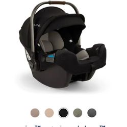 Nuna Carseat