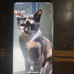 Samsung Galaxy S9+