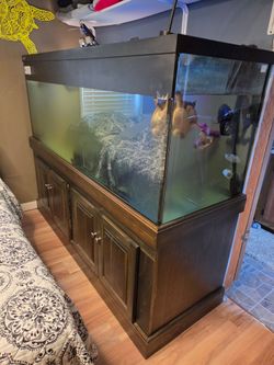Aquarium 210 gallon