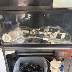Complete Reef/Frag Tank System - Multiple Drilled Tanks, Skimmers, LED Lights, and More!