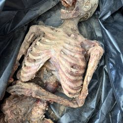 Film / TV Production–Ready Description (Professional)