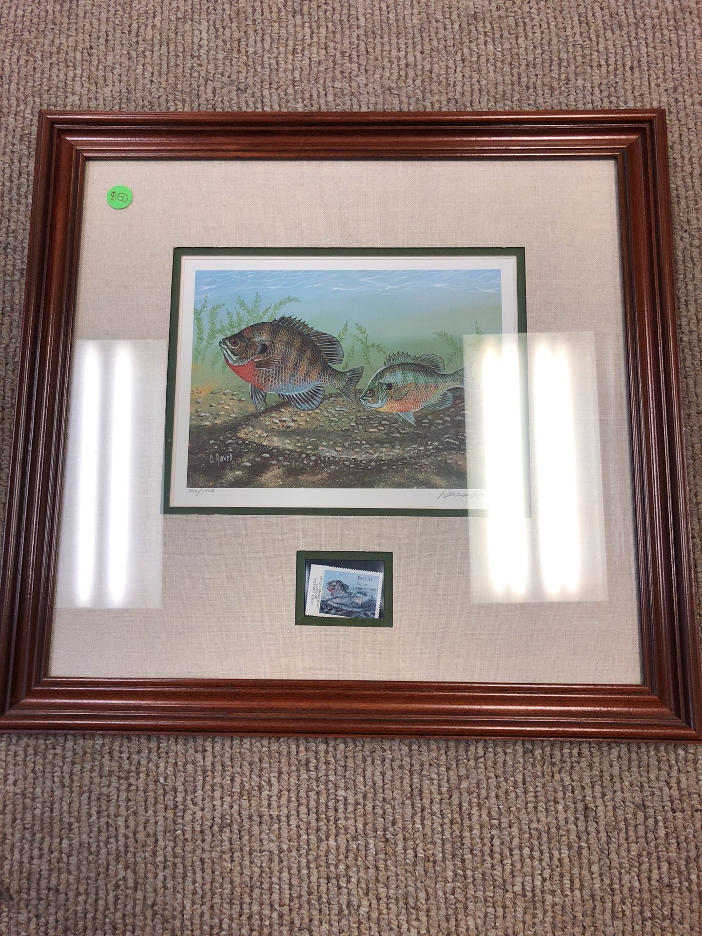 North Carolina Resident Sportman’s Fishing Stamp Framed picture