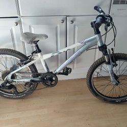 20" Gary Fisher 6 Speed Kids Mountain Bike with Aluminum Frame 
