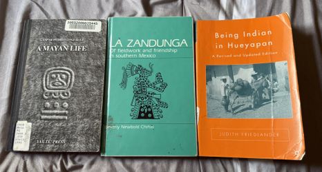 Social Work, Women, and International Studies Books