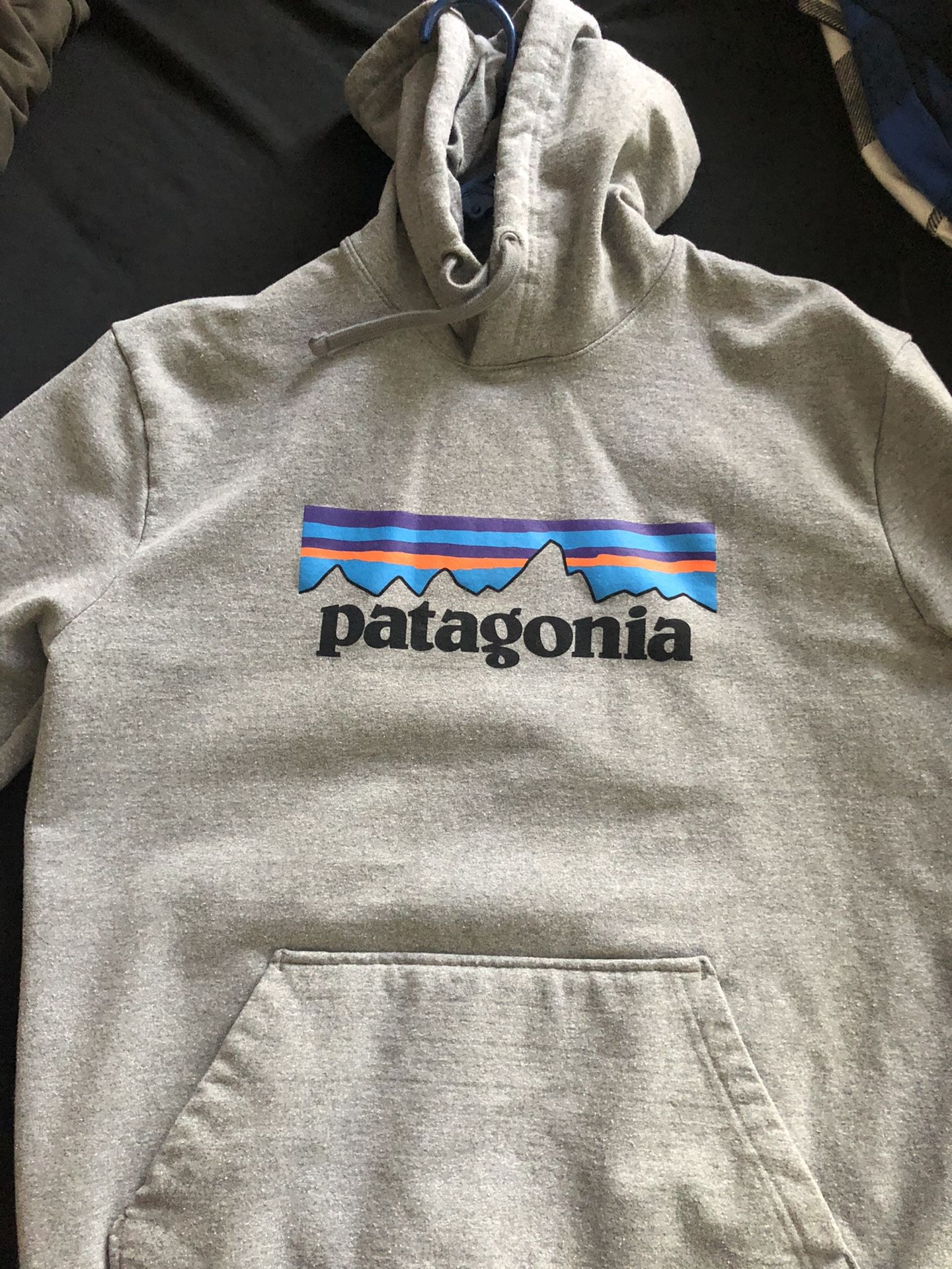 Patagonia Hoodie