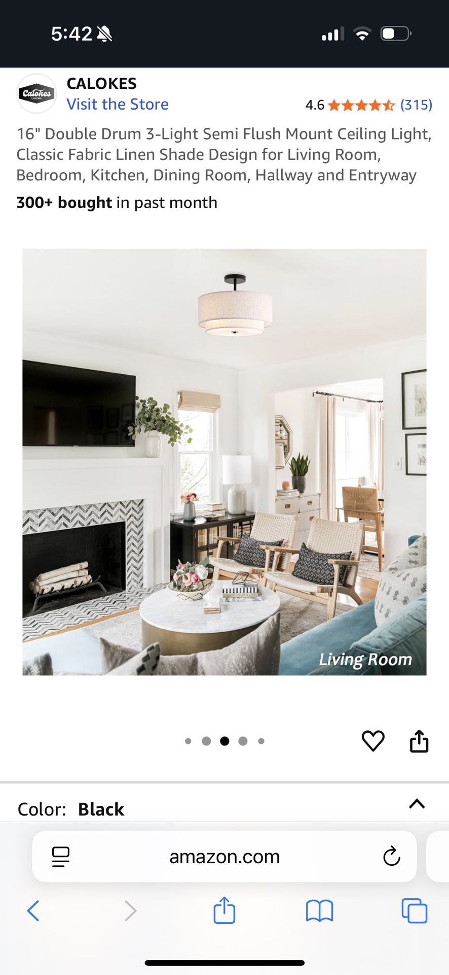Brand New Ceiling Light