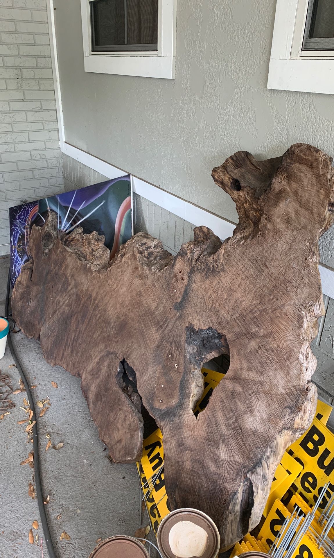 Large live edge slab