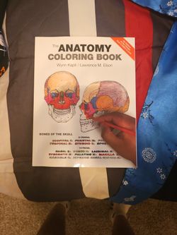 Anatomy And PHYSIOLOGY Coloring Book