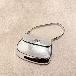 Silver purse