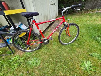 Specialized adult bicycle