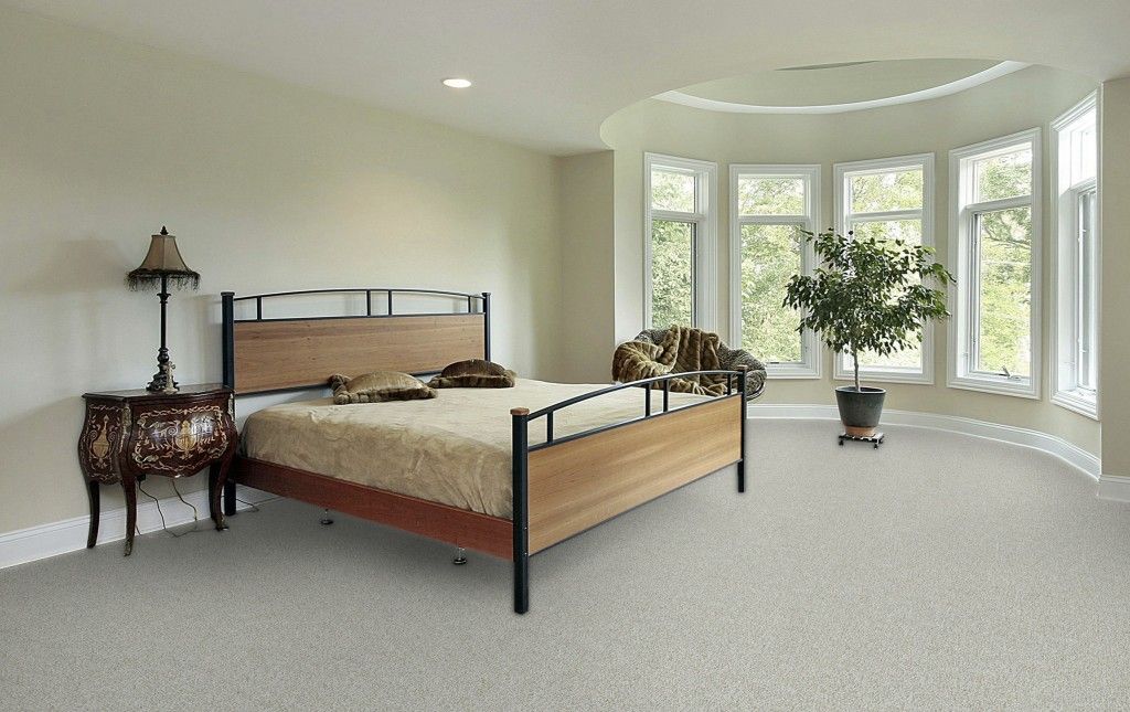 CARPET New Roll to Beautify Your Room