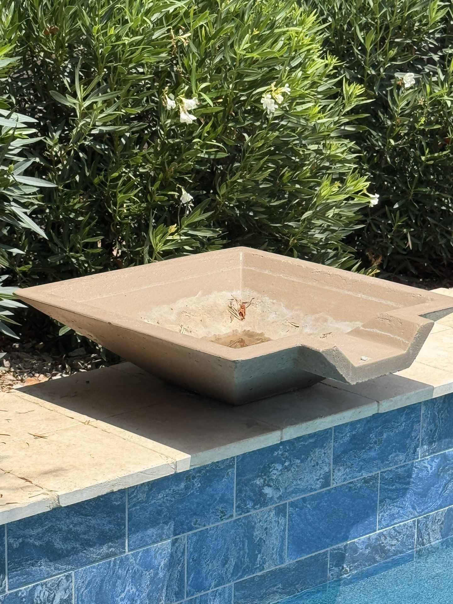 Pool Fountain X2