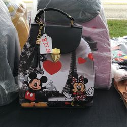 Bookbag/purse