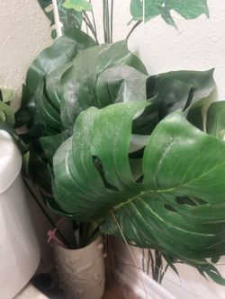 Artificial Elephant Leaves 