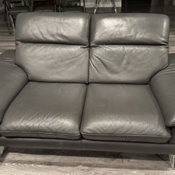 Two Leather Couches