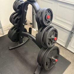 Troy VTX Olympic Weights With Commercial Olympic Stand