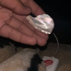 Random shell