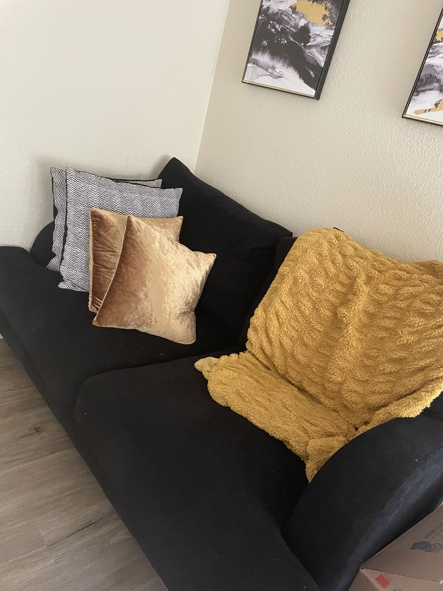 Couch/$60