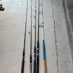 Fishing Rods and  Diving Stick 
