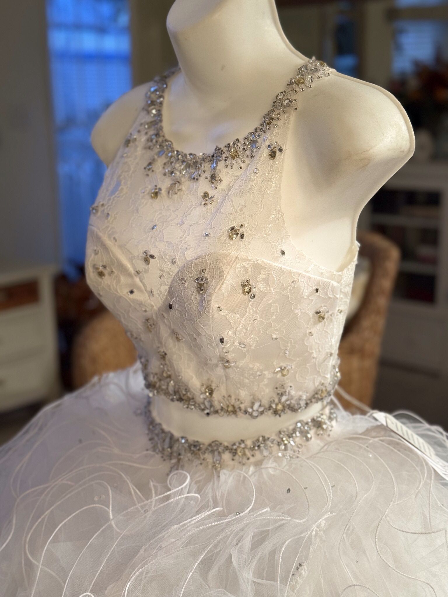 Gorgeous Quinceanera Gown Dress NWT