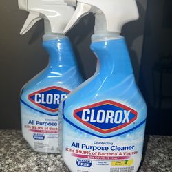 Clorox Spray Cleaner Set