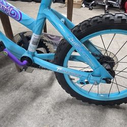 14 " Girls Bike