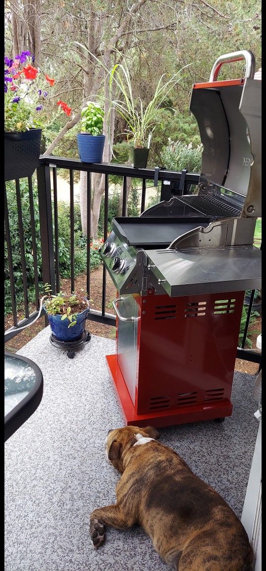 2 Burner Propane Gas Grill in Red with Grill Cover and Propane