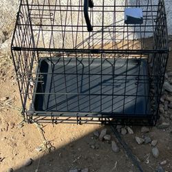 Dog Cage 