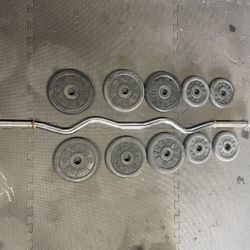 Curl Bar Weight Plates.       25.  Dollars 